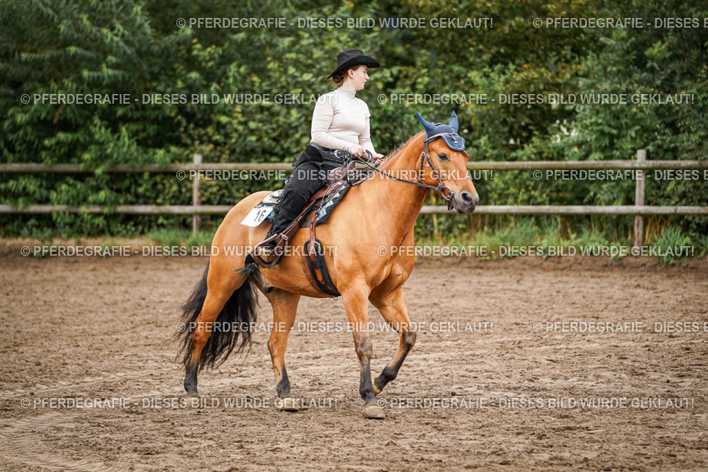 DSC04873 | Pferdegrafie