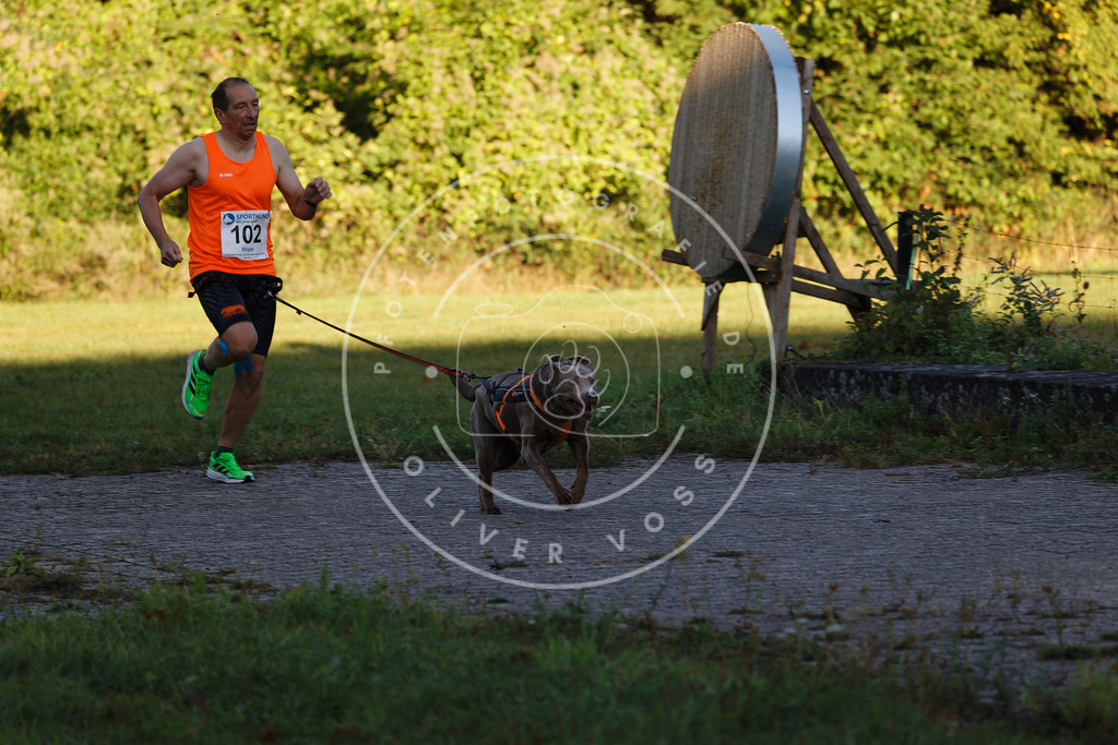0L8A4705 | Hundefotografie, Tierfotograf, Pfotenfotografie, Fotoshooting Hund, Hunde Portrait, Hundesport, Hundeportraits, Heideshooting, Hunde, Sportfotograf, Hundefotograf, Turnierhundsport, THS,  - Realisiert mit Pictrs.com