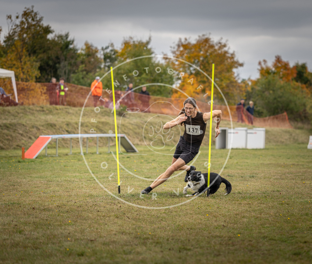 Pfotenfotografie_DV3A8168 | Hundefotografie, Tierfotograf, Pfotenfotografie, Fotoshooting Hund, Hunde Portrait, Hundesport, Hundeportraits, Heideshooting, Hunde, Sportfotograf, Hundefotograf, Turnierhundsport, THS,  - Realisiert mit Pictrs.com