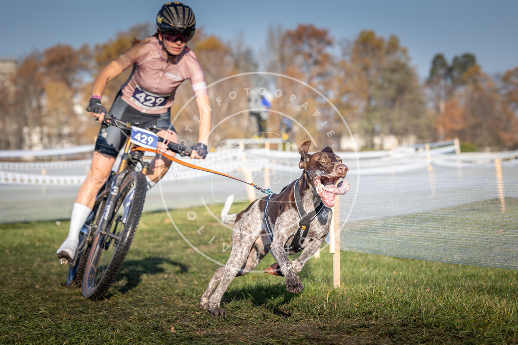 CaniXpix_0L8A4279 | Hundefotografie, Tierfotograf, Pfotenfotografie, Fotoshooting Hund, Hunde Portrait, Hundesport, Hundeportraits, Heideshooting, Hunde, Sportfotograf, Hundefotograf, Turnierhundsport, THS,  - Realisiert mit Pictrs.com