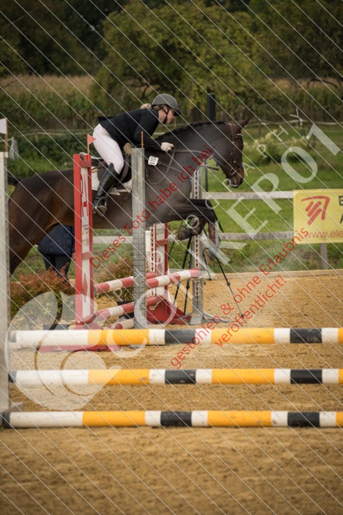 DSC_7349 | Sport-, Event- und Tierfotos in Profiqualität. Einfach auswählen, bestellen und herunterladen. Dein Moment – perfekt festgehalten.