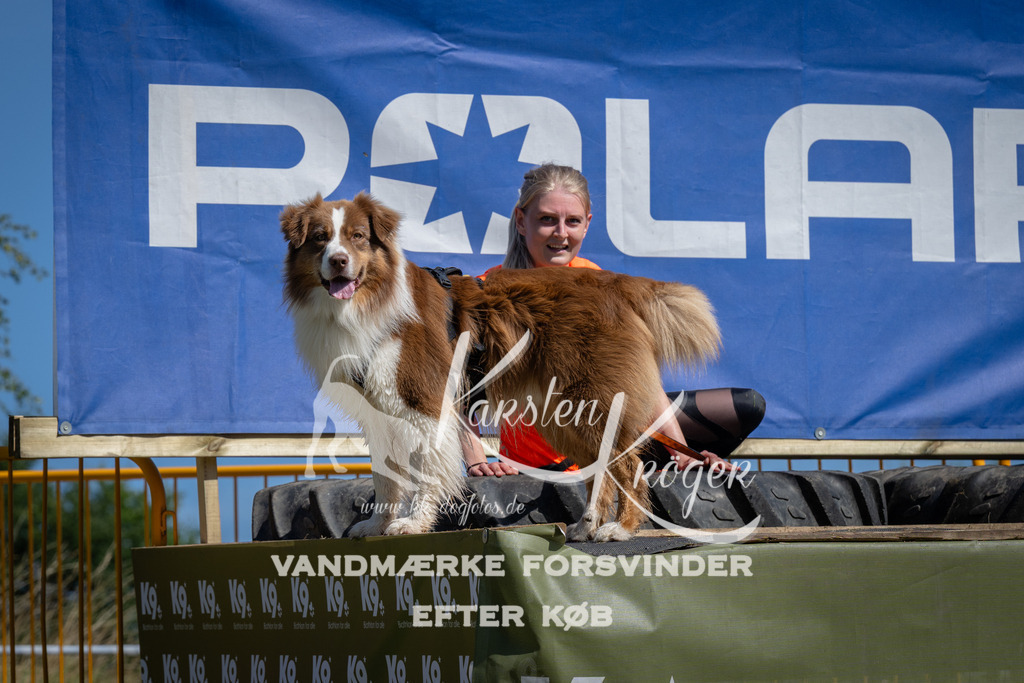 1159_ZZ93195 | kk-dogfotos