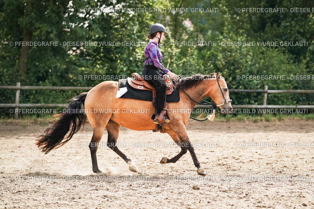 DSC04938 | Pferdegrafie