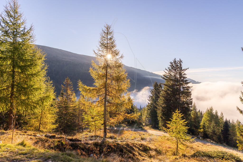 Millstätter Alpe | Ihre Fotografin im Lungau, ihre Fotografin im Mostviertel, Wandbilder Onlineshop, Imagefotos für Ihr Unternehmen,  - Realisiert mit Pictrs.com