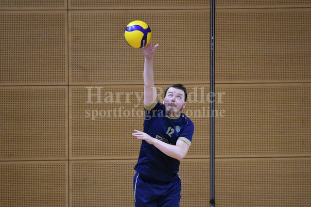 TSV Plattling Volleyball - Isarvolleys | TSV Plattling Volleyball - Isarvolleys - Realisiert mit Pictrs.com