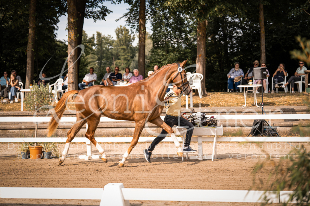 FrER00078 | Leoni Ertmer Photography - Realisiert mit Pictrs.com