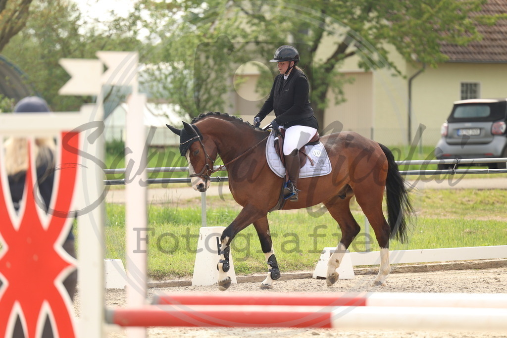 994A7784 | sabrinanicolaifotografie - Realisiert mit Pictrs.com