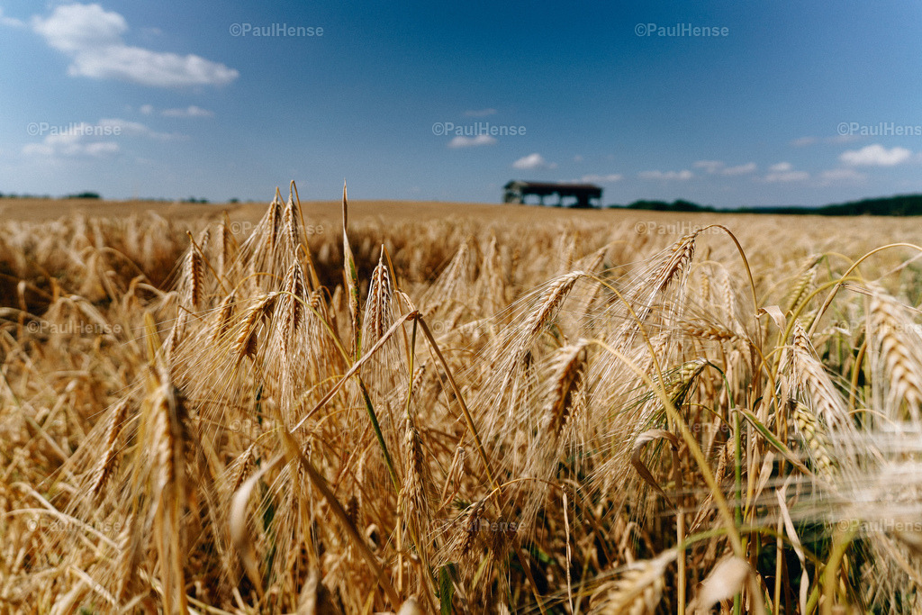 20220623_0004_PaulHense_DSC09891 | paulhense - Realisiert mit Pictrs.com