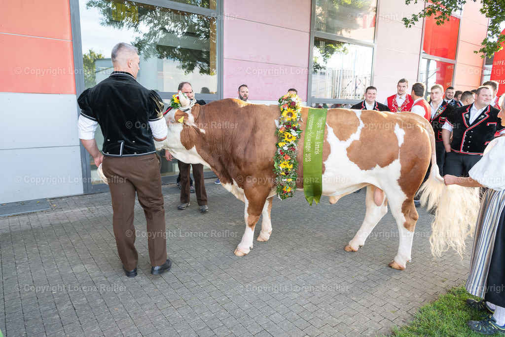 Schwingen -  Unspunnen Empfang 2023 | Wigoltingen, 2.9.23, Schwingen - Unspunnen Empfang.