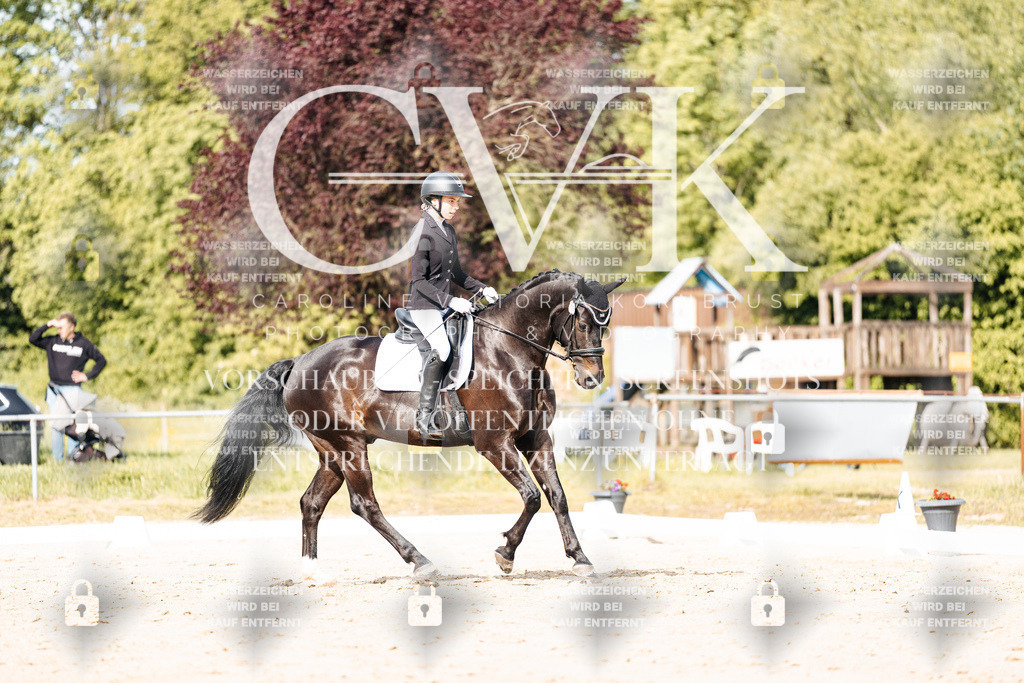 CK900315 | Turnierfotografie Pferdefotografie Trier Rheinland-Pfalz Pferdesport Reitsport Tierfotografie Sportfotografie Pferdevideo Pferdevideografie Equestrianvideography equestrianphotography  - Realisiert mit Pictrs.com