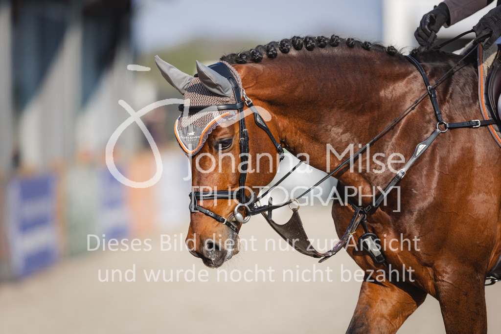 220426_Mühlen_05SprgPf-M-571 | Mühlen Late Entry
26.04.2022
05 Springpferdeprüfung Kl.M* 5-7j.