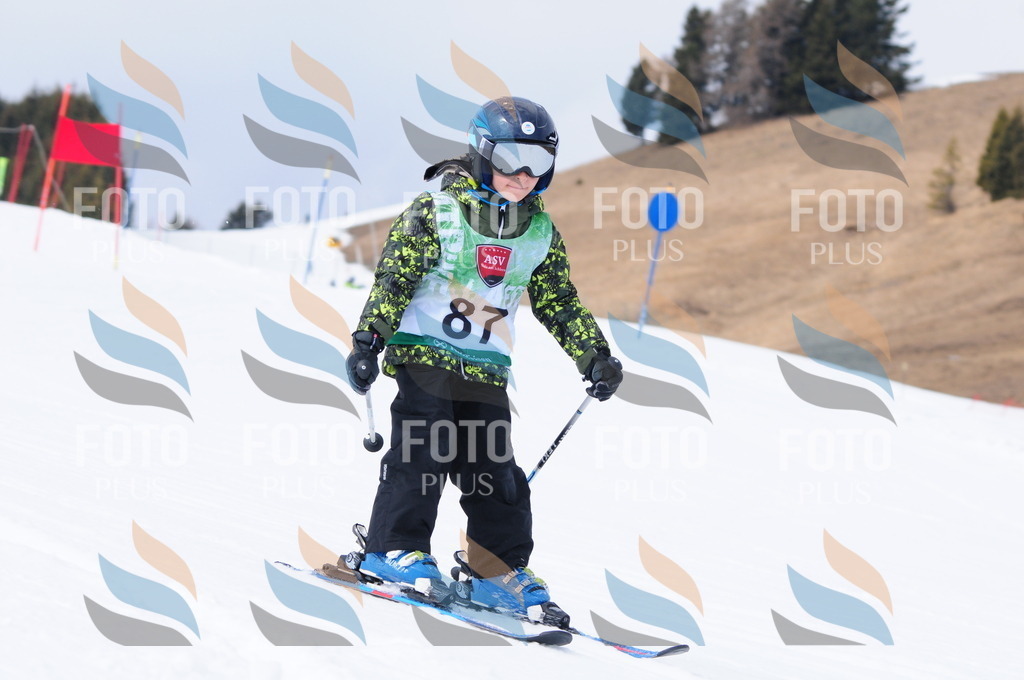 A3768 | holidayphoto