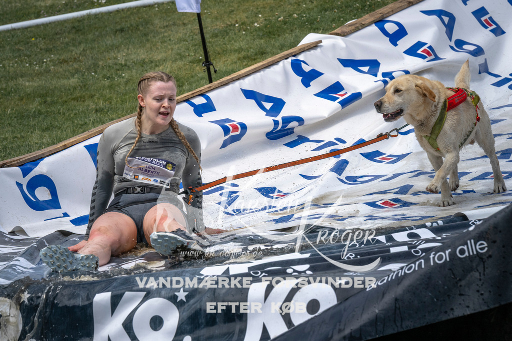 1126_ZZ92155 | kk-dogfotos