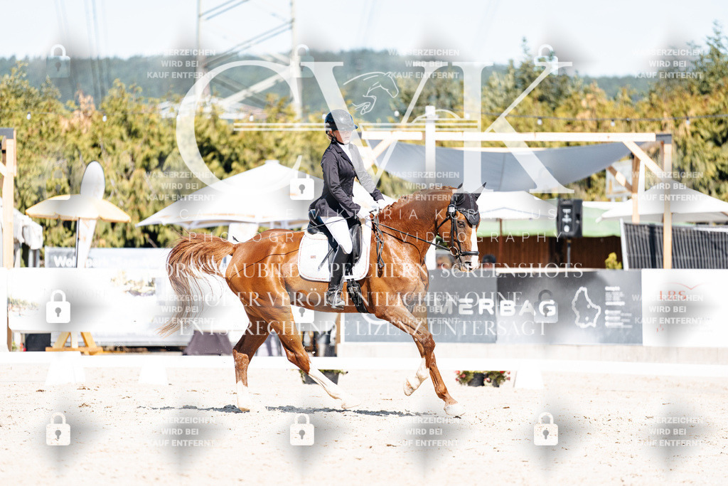 CK908854 | Turnierfotografie Pferdefotografie Trier Rheinland-Pfalz Pferdesport Reitsport Tierfotografie Sportfotografie Pferdevideo Pferdevideografie Equestrianvideography equestrianphotography  - Realisiert mit Pictrs.com