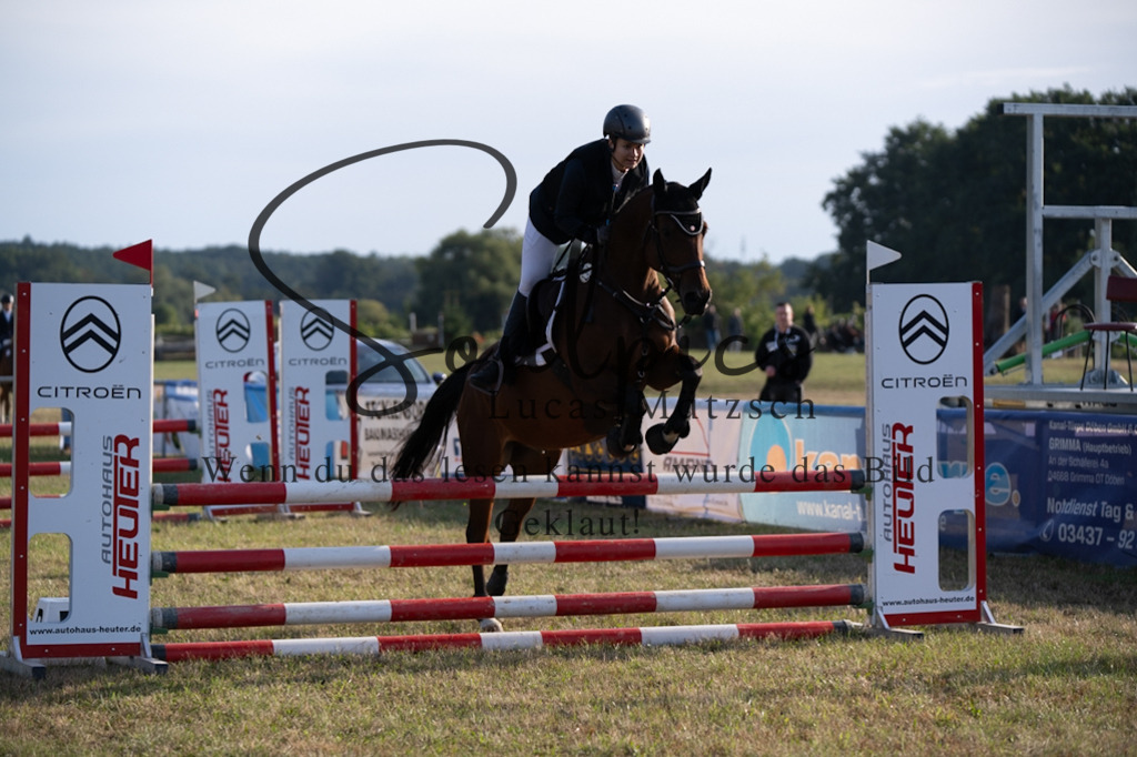 A7V08085 | Pferdefotograf