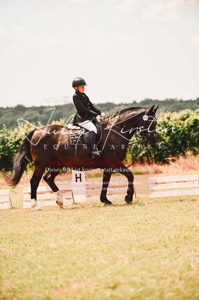 DSC_6377 | Pferde- und Turnierfotografie in Westsachsen. Pferdeportraits, Auftragszeichnungen und intuitive Kunst.