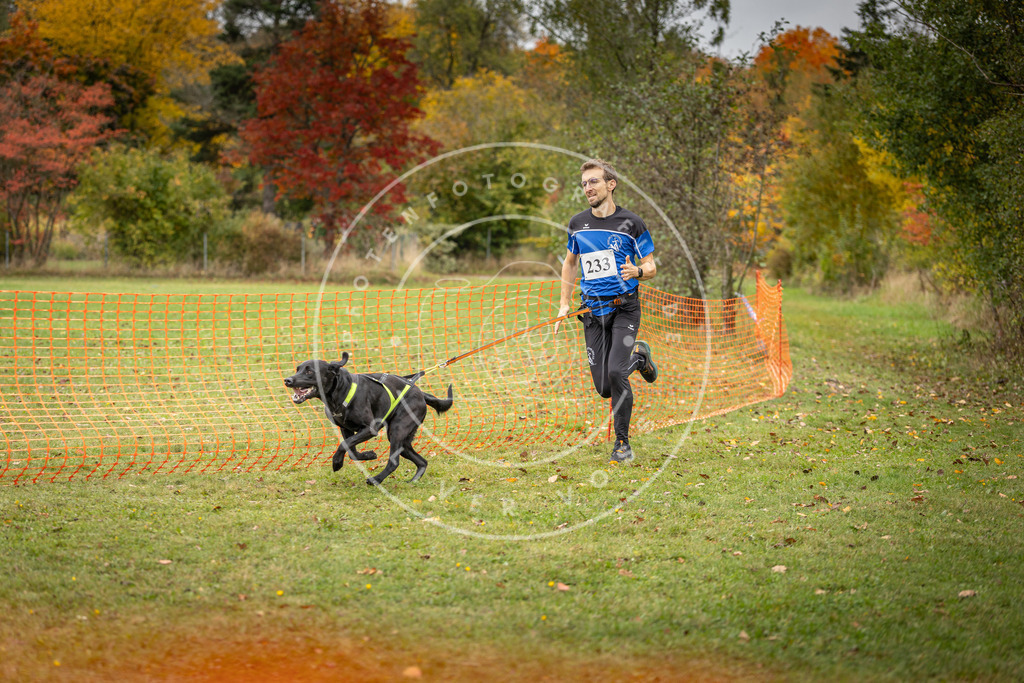 Pfotenfotografie_DV3A4343 | Hundefotografie, Tierfotograf, Pfotenfotografie, Fotoshooting Hund, Hunde Portrait, Hundesport, Hundeportraits, Heideshooting, Hunde, Sportfotograf, Hundefotograf, Turnierhundsport, THS,  - Realisiert mit Pictrs.com