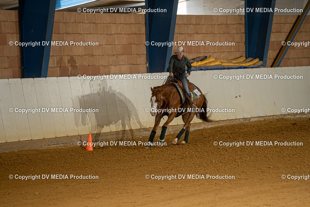 MIT00070 | dv-media-shop - Realisiert mit Pictrs.com