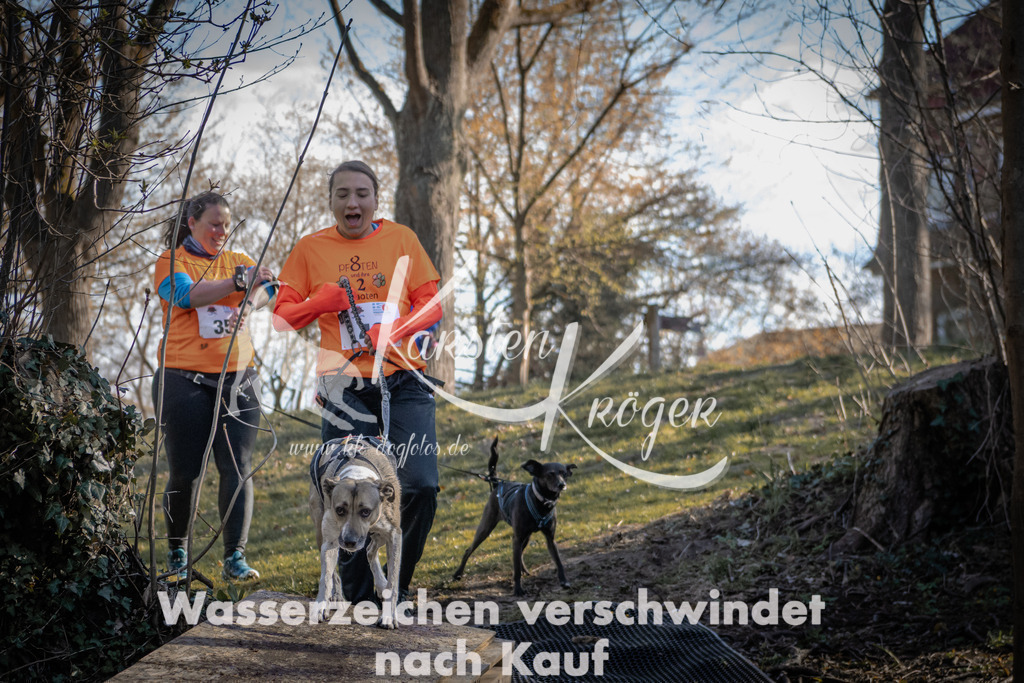 0834_ZZ92192 | kk-dogfotos