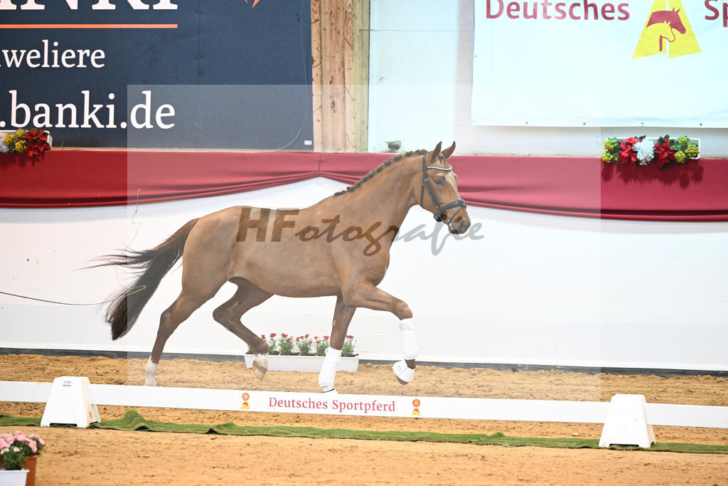 Kat-Nr. 25 Dynamic Dream x Benetton Dream_Bodstangen_43232016 | hf-fotografie - Realisiert mit Pictrs.com