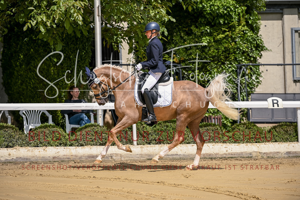 Schugtsche-Aluta25-48.Reitpferfdeprf.-46 | Schugtsche Fotografie - Realizzato con Pictrs.com