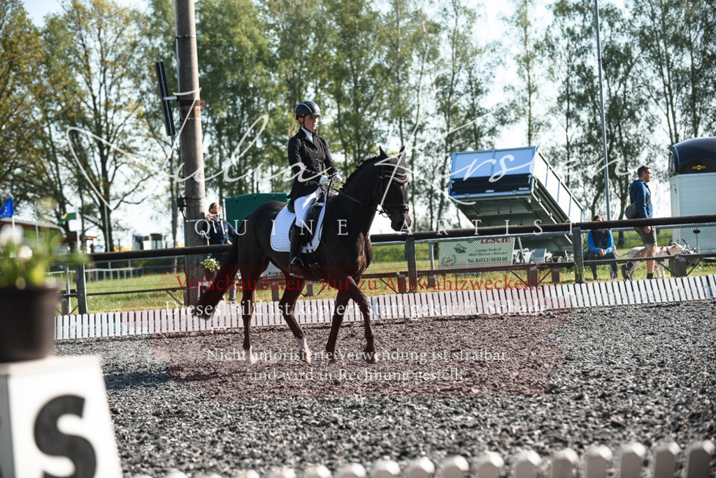 DSC_8328 | Pferde- und Turnierfotografie in Westsachsen. Pferdeportraits, Auftragszeichnungen und intuitive Kunst.