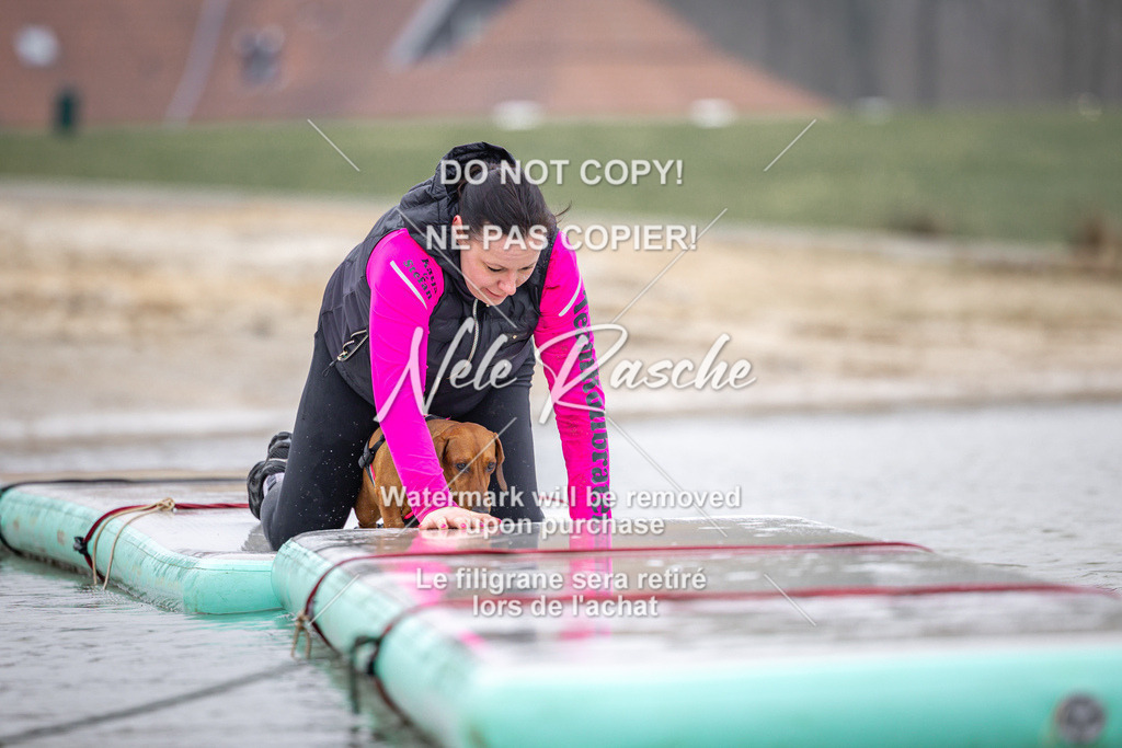 nelerasche_Hulsbeek_Sa1030-1100_405 | nelerasche