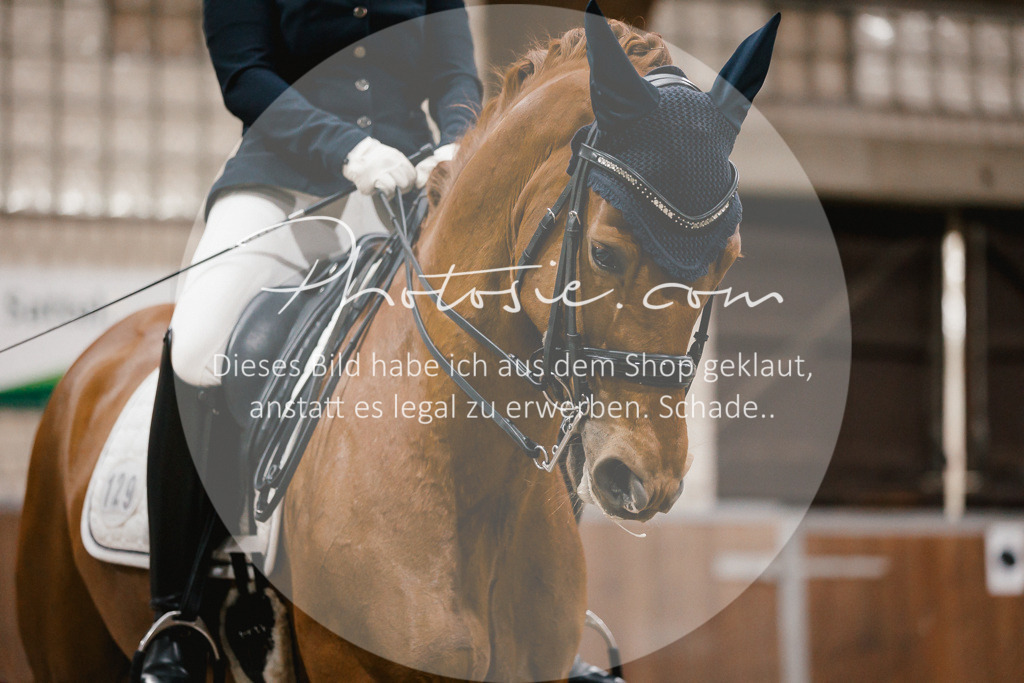3I6A8875 | Stimmungsvolle Portraits und Reitsportfotografie im Ruhrgebiet und im Münsterland.

Pferdefotografie, Hundefotografie, Tierfotografie, Reportagen, Portraits von Tier und Mensch, Turnierfotografie in Bochum, Recklinghausen, Marl, Haltern am See, Dülmen.. - Realisiert mit Pictrs.com