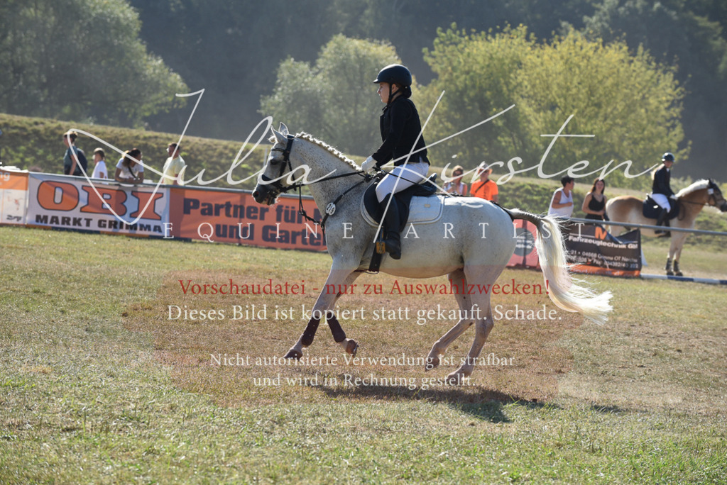 DSC_5867 | Pferde- und Turnierfotografie in Westsachsen. Pferdeportraits, Auftragszeichnungen und intuitive Kunst.