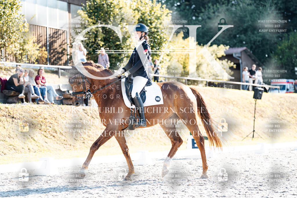 CK906687 | Turnierfotografie Pferdefotografie Trier Rheinland-Pfalz Pferdesport Reitsport Tierfotografie Sportfotografie Pferdevideo Pferdevideografie Equestrianvideography equestrianphotography  - Realisiert mit Pictrs.com