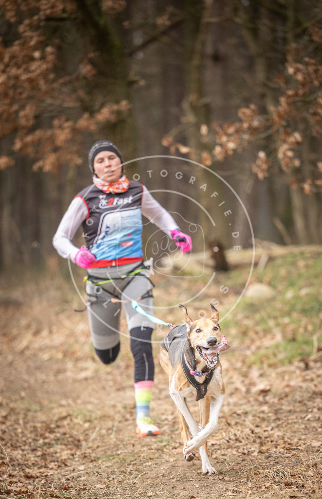 Pfotenfotografie_DV3A4978 | Hundefotografie, Tierfotograf, Pfotenfotografie, Fotoshooting Hund, Hunde Portrait, Hundesport, Hundeportraits, Heideshooting, Hunde, Sportfotograf, Hundefotograf, Turnierhundsport, THS,  - Realisiert mit Pictrs.com