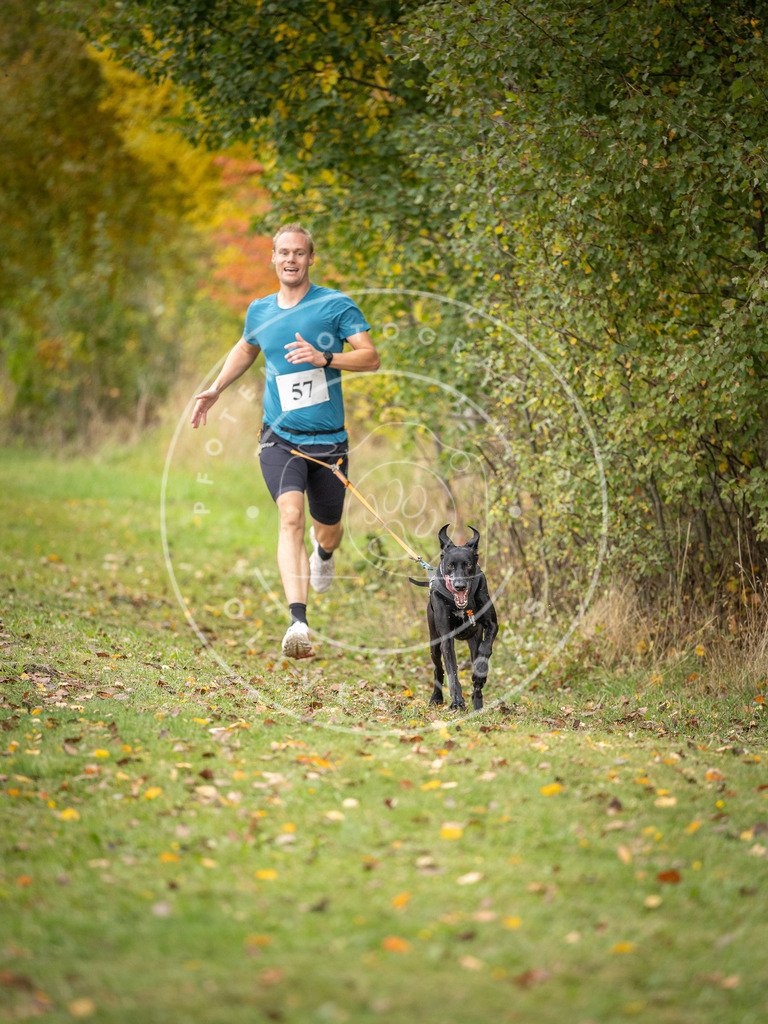 Pfotenfotografie_DV3A2575 | Hundefotografie, Tierfotograf, Pfotenfotografie, Fotoshooting Hund, Hunde Portrait, Hundesport, Hundeportraits, Heideshooting, Hunde, Sportfotograf, Hundefotograf, Turnierhundsport, THS,  - Realisiert mit Pictrs.com
