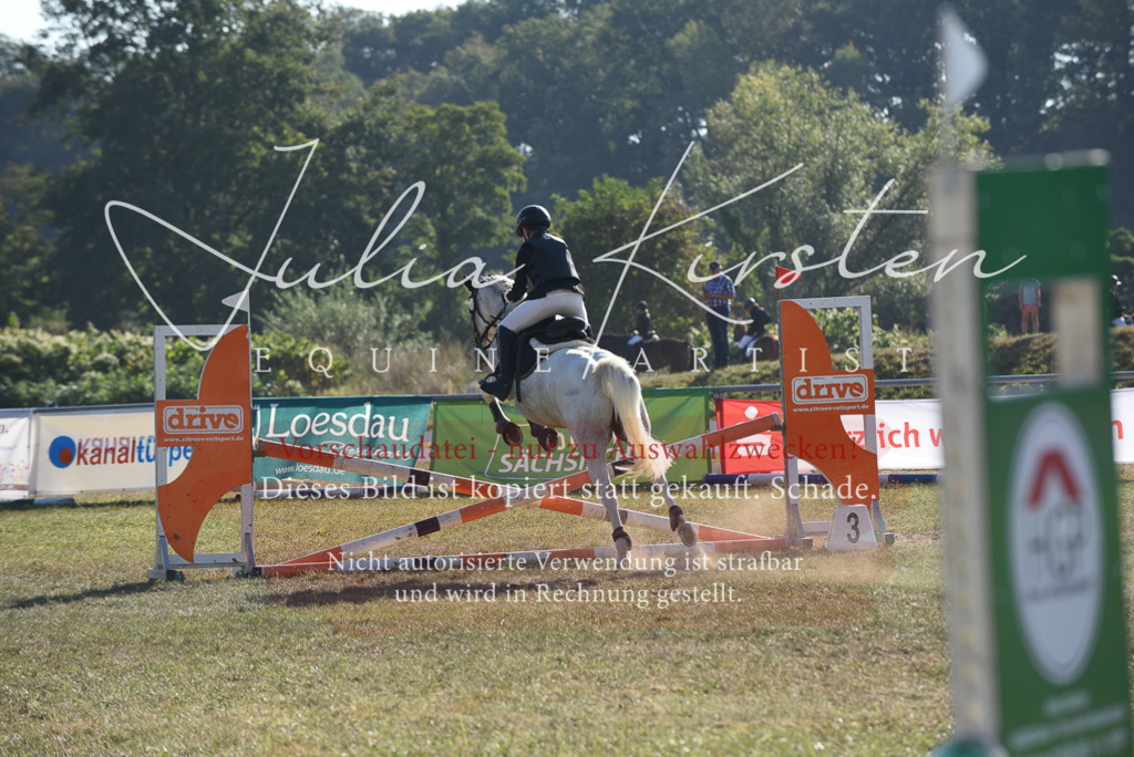 DSC_5670 | Pferde- und Turnierfotografie in Westsachsen. Pferdeportraits, Auftragszeichnungen und intuitive Kunst.