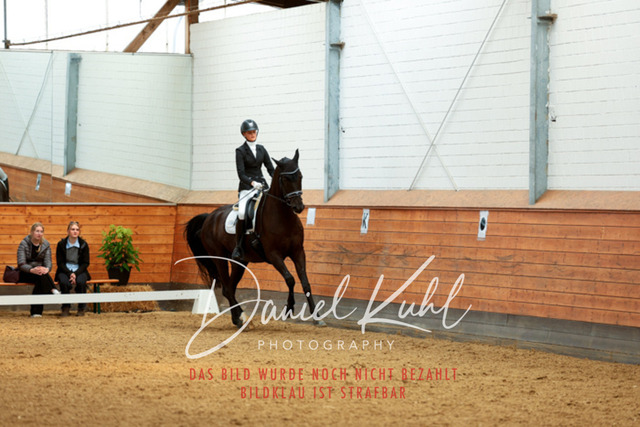 _62_4631 | Turniersportfotografie; Pferdefotografie; Dressurfotografie