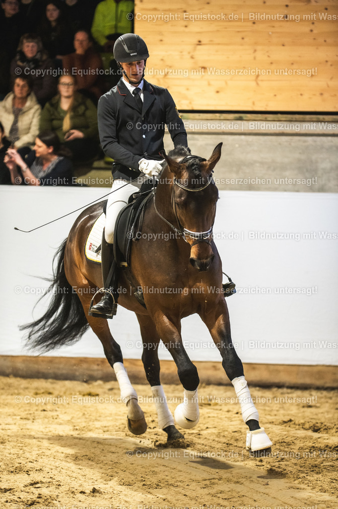 20240302_Hengstvorstellung_Marbach_TOMsPiC_0135 | equistock