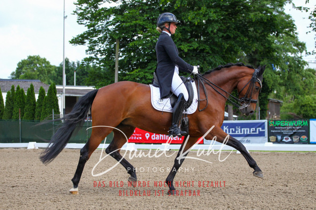 DKP41625 | Deine Turnierfotos vom Reitturnier online kaufen: Dressur, Springen & Siegerehrung. Professionelle Pferdefotografie aus dem Rheinland – als Download & Print.Alternative: Turnierfotograf für den Pferdesport: Finde deine Fotos von Dressur- und Springturnier