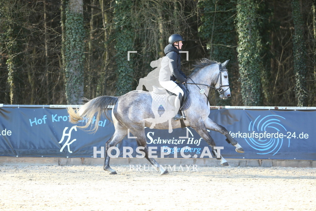 DL2Q1826 | Willkommen bei Brunnmayr - Design & Fotografie – Ihrem Spezialisten für Reitturniere und Pferdeveranstaltungen in Oberösterreich, Salzburg und Bayern! Seit über 17 Jahren sind wir leidenschaftlich dabei.