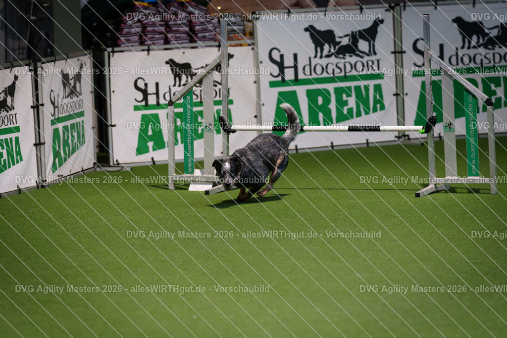 allesWIRTHgut_Tierfotografie-DVG_Agility_Masters_2026-16_43-7R504167 | Professionelle Tierfotografie in Mönchengladbach von Daniel Wirth (allesWIRTHgut). Liebevolle & natürliche Bilder von Hunden & Katzen für unvergessliche Erinnerungen.