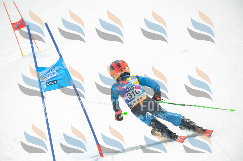 _ELE8397 | holidayphoto