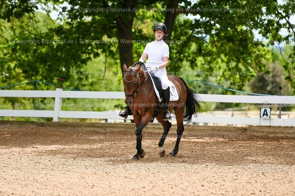 20230715_05_Dressurprüfung Kl.A++_0007 | equistock