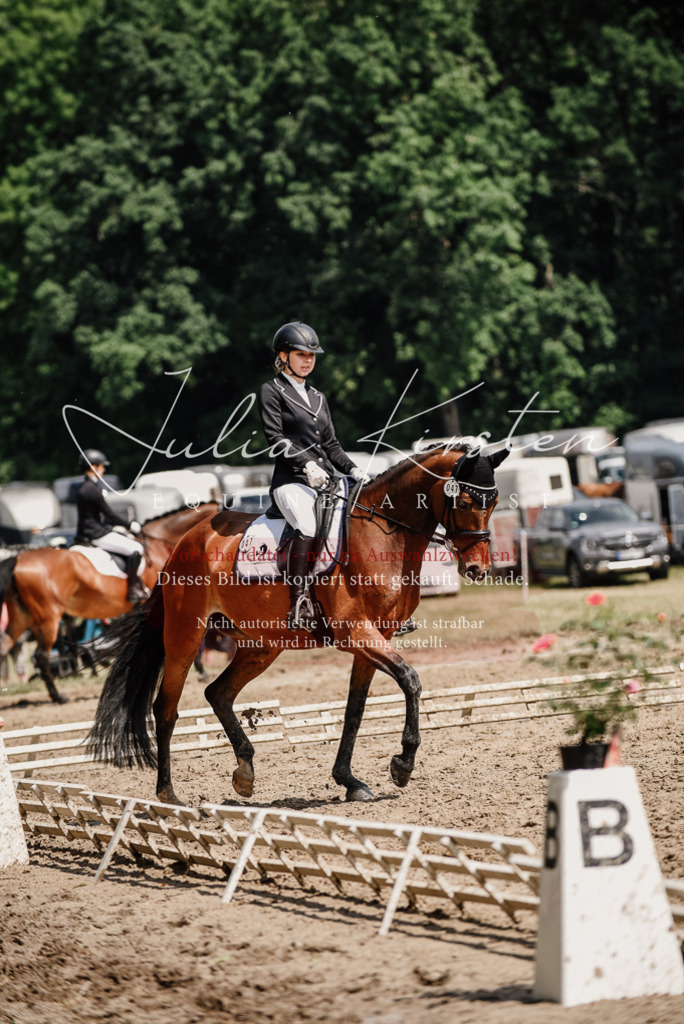 DSC_0919 | Pferde- und Turnierfotografie in Westsachsen. Pferdeportraits, Auftragszeichnungen und intuitive Kunst.
