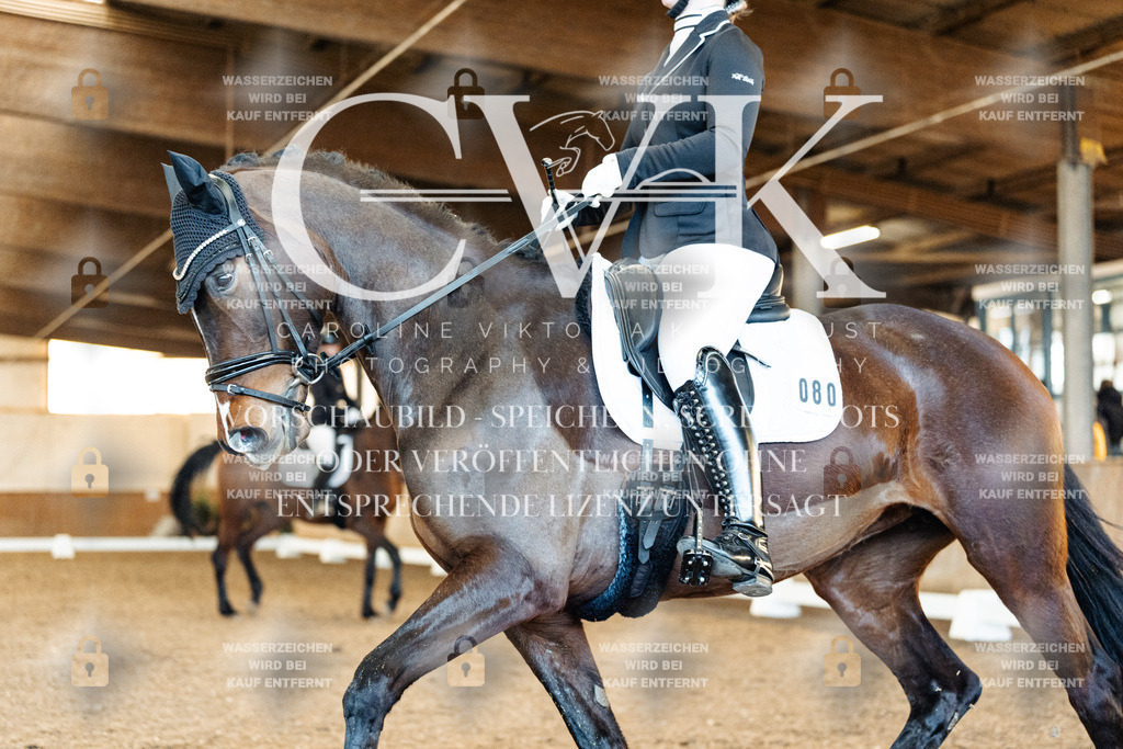 CK908791 | Turnierfotografie Pferdefotografie Trier Rheinland-Pfalz Pferdesport Reitsport Tierfotografie Sportfotografie Pferdevideo Pferdevideografie Equestrianvideography equestrianphotography  - Realisiert mit Pictrs.com