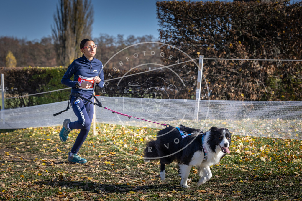 CaniXpix_DV3A8744 | Hundefotografie, Tierfotograf, Pfotenfotografie, Fotoshooting Hund, Hunde Portrait, Hundesport, Hundeportraits, Heideshooting, Hunde, Sportfotograf, Hundefotograf, Turnierhundsport, THS,  - Realisiert mit Pictrs.com