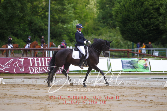 DKP40596 | Turniersportfotografie; Pferdefotografie; Dressurfotografie