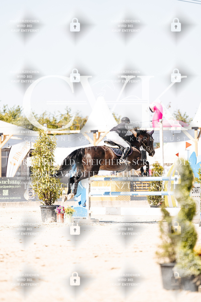 CK909737 | Turnierfotografie Pferdefotografie Trier Rheinland-Pfalz Pferdesport Reitsport Tierfotografie Sportfotografie Pferdevideo Pferdevideografie Equestrianvideography equestrianphotography  - Realisiert mit Pictrs.com