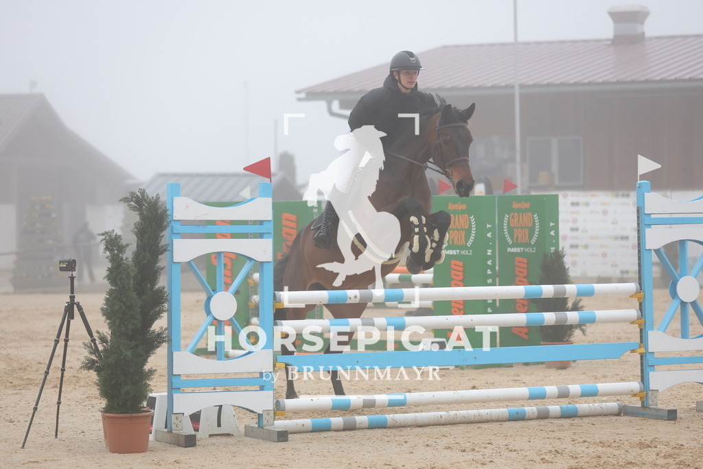 0P6A8036 | Willkommen bei Brunnmayr - Design & Fotografie – Ihrem Spezialisten für Reitturniere und Pferdeveranstaltungen in Oberösterreich, Salzburg und Bayern! Seit über 17 Jahren sind wir leidenschaftlich dabei.
