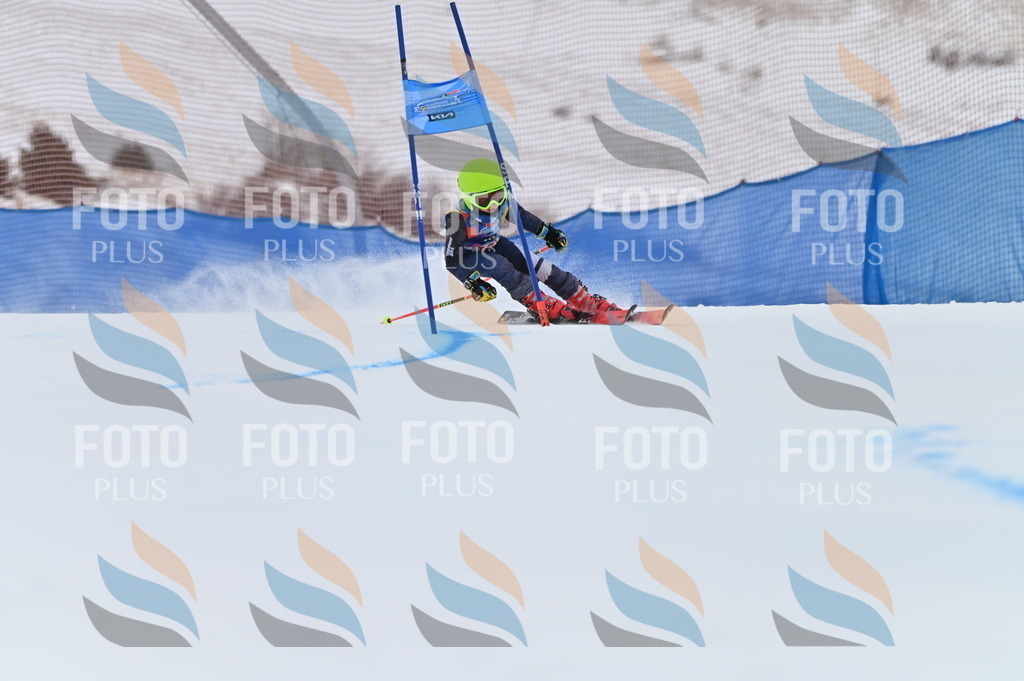 BGV_1103 | holidayphoto