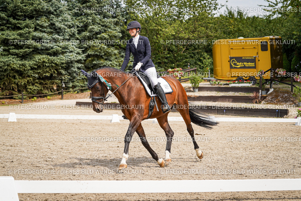 DSC04701 | Pferdegrafie