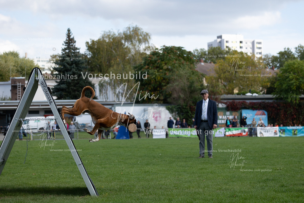 _16A5659 | Einzigartige Fotos von Hunden & Menschen –Actionfotos, Portraits, Vereinsaufnahmen & Paarshootings – authentisch, lebendig & mit Herz.