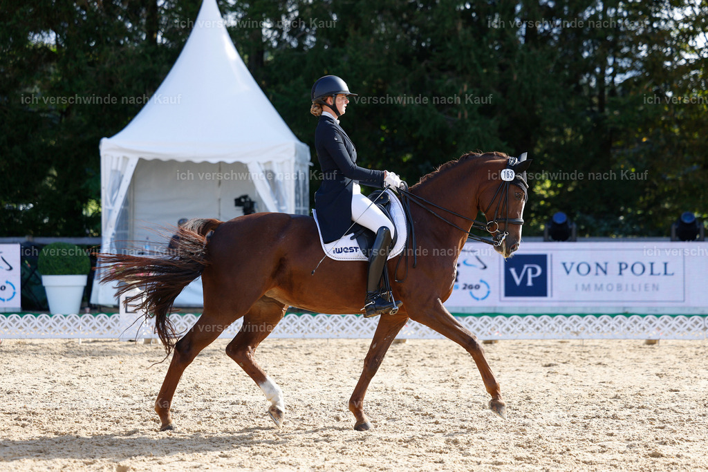 09_2-163-DRESSUR  S_  -StoibPH-5731 | working equitationturnier fotograf videograf stoibphotography marixx film working equitation deutschland reitsport turnierfotografie eventfotografie equestrian events